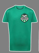 Killinarden Celtic kids performance tee