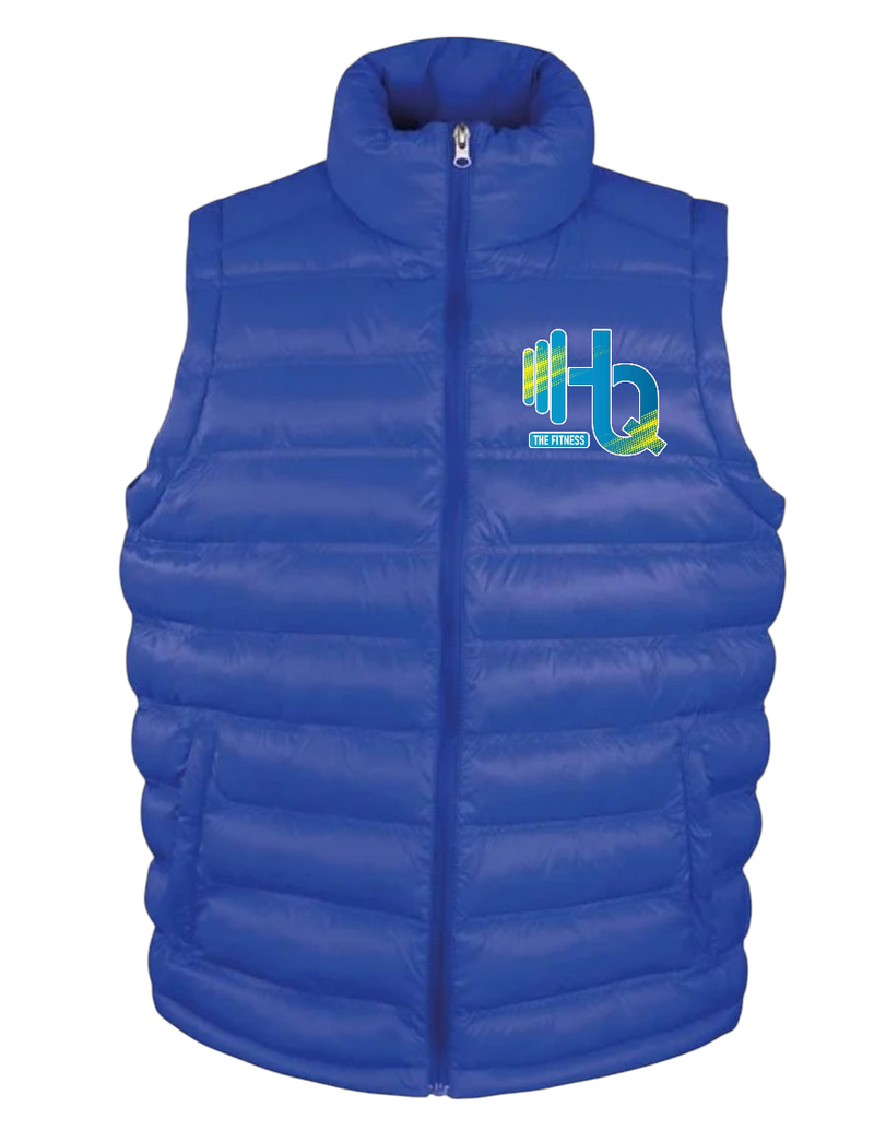 Womens ice bird gilet