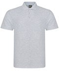 RX101 Pro polo