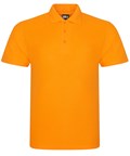 RX101 Pro polo