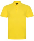 RX101 Pro polo