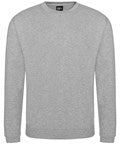Pro sweatshirt