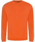 Pro sweatshirt