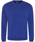 Pro sweatshirt
