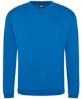 Pro sweatshirt