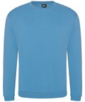 Pro sweatshirt