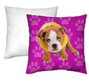 Sublimation Pillow