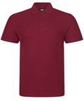RX101 Pro polo